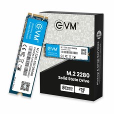 EVM 2568GB M.2 (2280) SSD